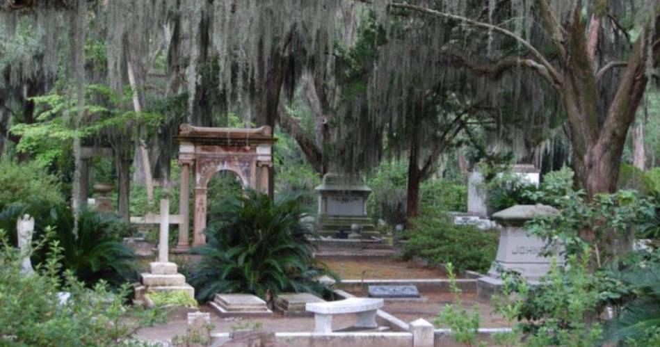 15 Best Things to Do in Savannah, Georgia