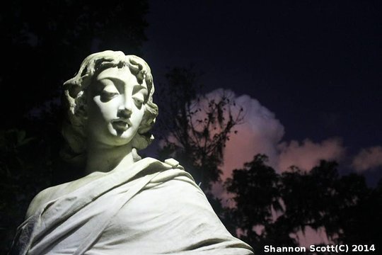 Tour image 2