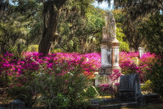 Tour image 4