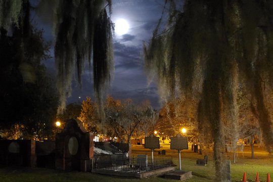 Tour image 5