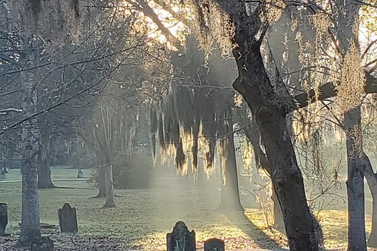 Tour image 7