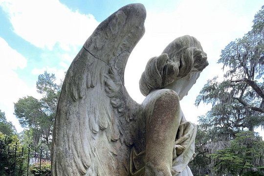Tour image 8