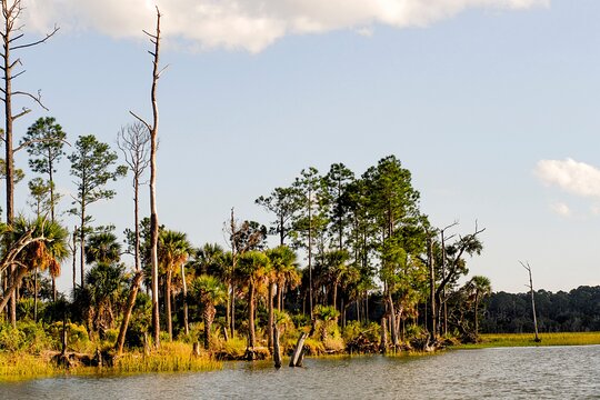 Tour image 6