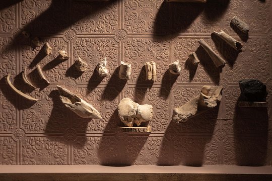 Tour image 8